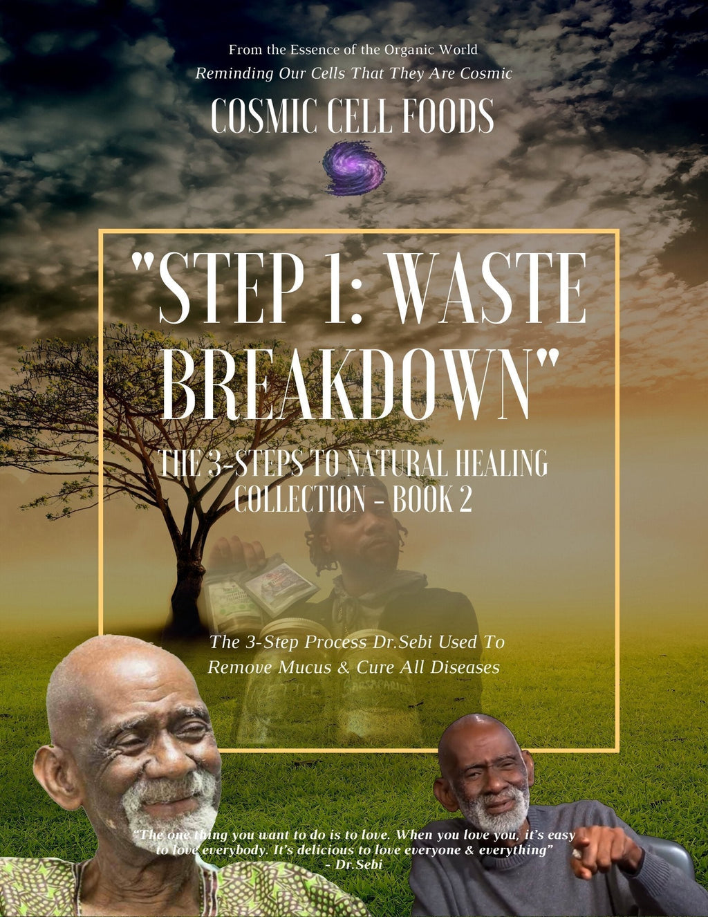 "STEP 1: WASTE BREAKDOWN" The 3-Steps To Healing Book Collection - BOOK 2 - The Cosmic Chef